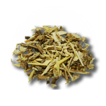 Angelica root Ingredient